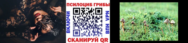 Псилоцибиновые грибы GOLDEN TEACHER  Шлиссельбург 